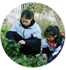 低年级段语文生态课堂的建构