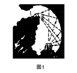 数学文化视角下的高中数学阅读材料之使用0