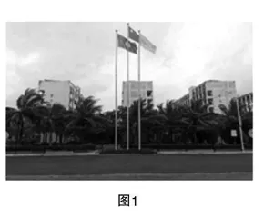 创设探究活动，提升核心素养 