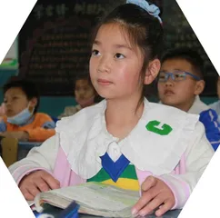 发挥写作教学的育人价值
