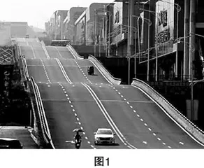 “五育”并举习素养