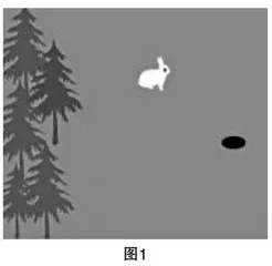 关注过程 落实素养