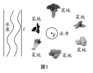 基于数学核心素养的信息技术课堂实践与思考