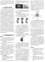 GeoGebra软件在高中数学课堂中的应用