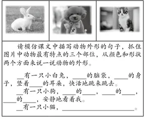 随文微写，搭建习作支架