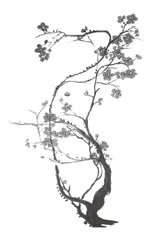 主问题设计在语文课堂教学中的实践研究