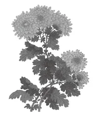 从教师到“教师之师”