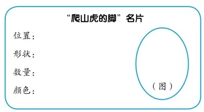 连续观察知变化 准确表达明学问1