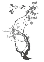 语文课，应该有怎样的写字教学