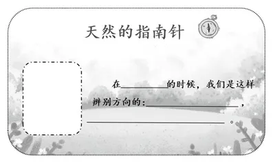 在任务驱动中提升学生语文素养