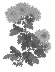 “读写社区”的拔节生长