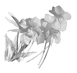 单元统整教学的实践与思考