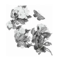扎根教育 自成芳华1