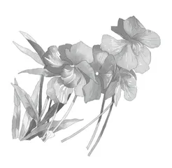 浅议作业的分层设计与形式创新5
