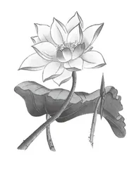 根植校园文化,创新语文实践活动2
