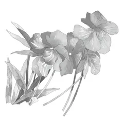 胡红：语文教育的传道者