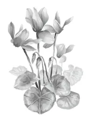 浅议借助教材插图落实语言运用1