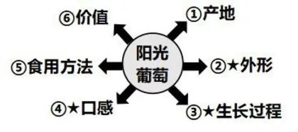思维导图让小学高年级习作焕发生机