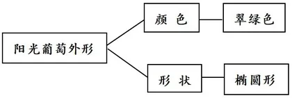 思维导图让小学高年级习作焕发生机1