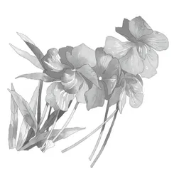 语文教师要有自己的教学个性