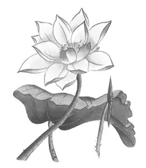 初中整本书阅读教学的“任务链”设计