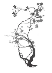 激发学生兴趣 提升复述能力