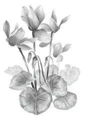 不懈怠,一关一关地飞向美好1