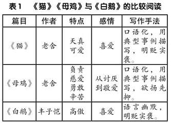交动物朋友 表喜爱之情1