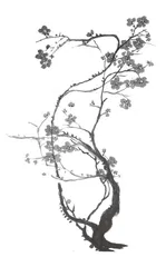 我眼中的“星”教师