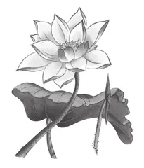 谈散文诗课文教学（一）