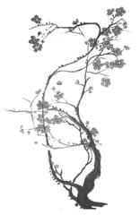 文化创新：浅谈现代信息技术赋能小学书法教学