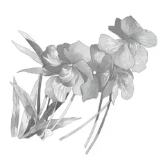 童话教学中说话能力的培养