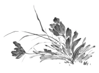 新鲜的语文“物流”