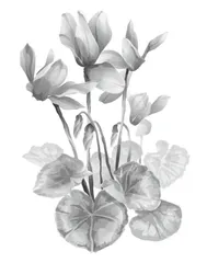 小学语文教学问答（五）