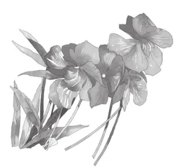 《溜索》教学设计