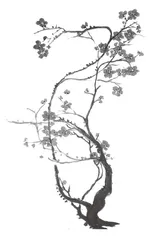 触摸语言 细致阅读