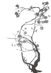 培养形象思维 提高学生素养