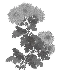 把握语言关键节点，培养思辨性阅读能力