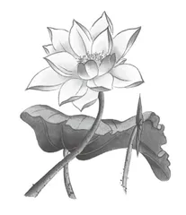 精设作业:新课标视域下提升语文素养的视角5
