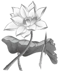 巧用媒介，盘活小学古诗文教学