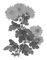 日积月累 熟读成诵