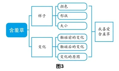 思维导图:提升学生习作思维品质2
