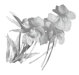 疑则有进，课堂中的思辨也精彩