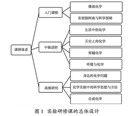 化学校本实验课程的建构