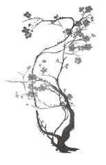 文学类文本细读摭拾2