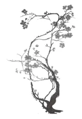 追求与攀登