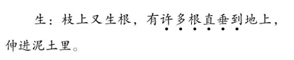 站位儿童视角，让阅读教学真实发生