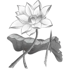 教学“意外”喜成教学“期待”