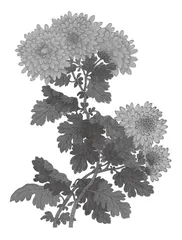给想象插上一双翅膀