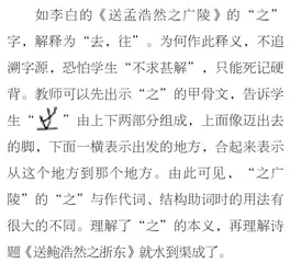 浅谈小学语文字理识字的汉字选定